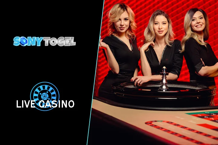 erita Unik di Balik Nama Akun Pemain Togel SONYTOGEL